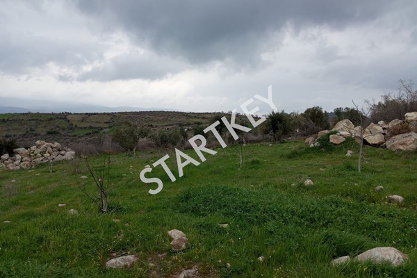 Property-photo