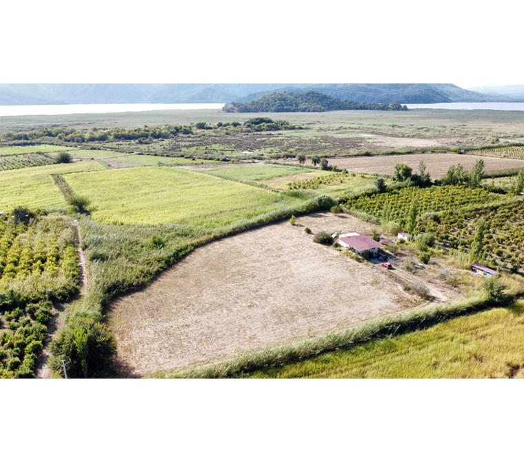 Ortaca Tepearasında 9880 m2 Tarla ve 100 m2 Resmi Ev