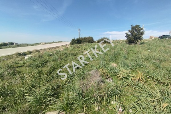 Property-photo