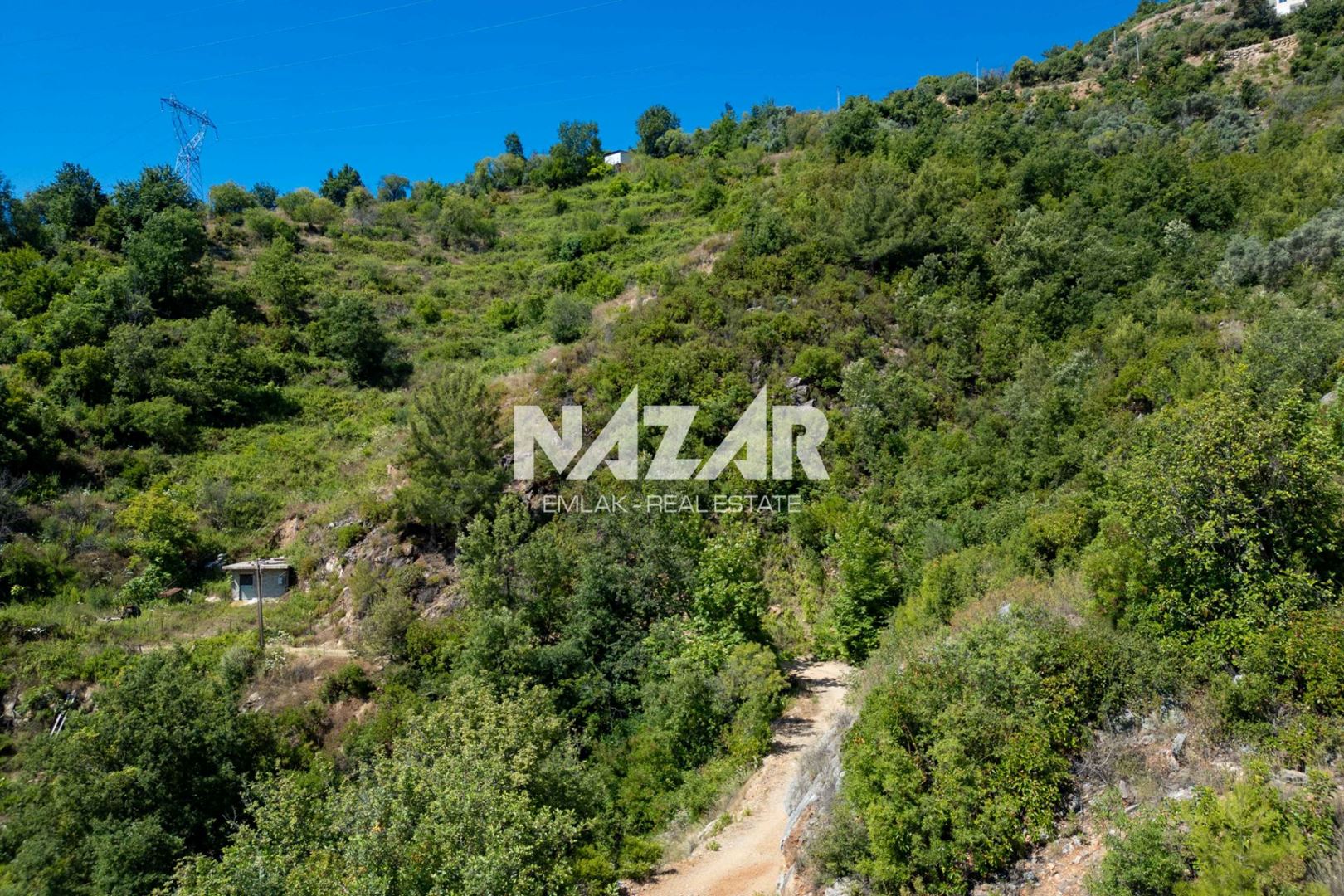 Property-photo