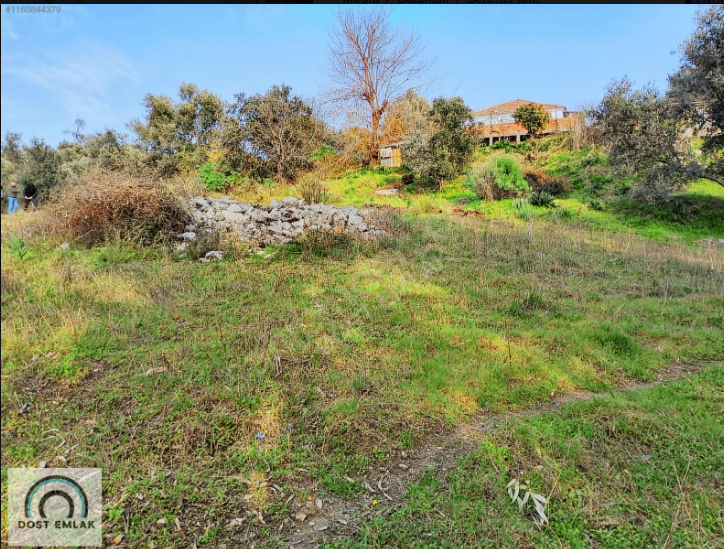 Property-photo