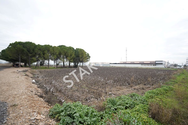 Property-photo