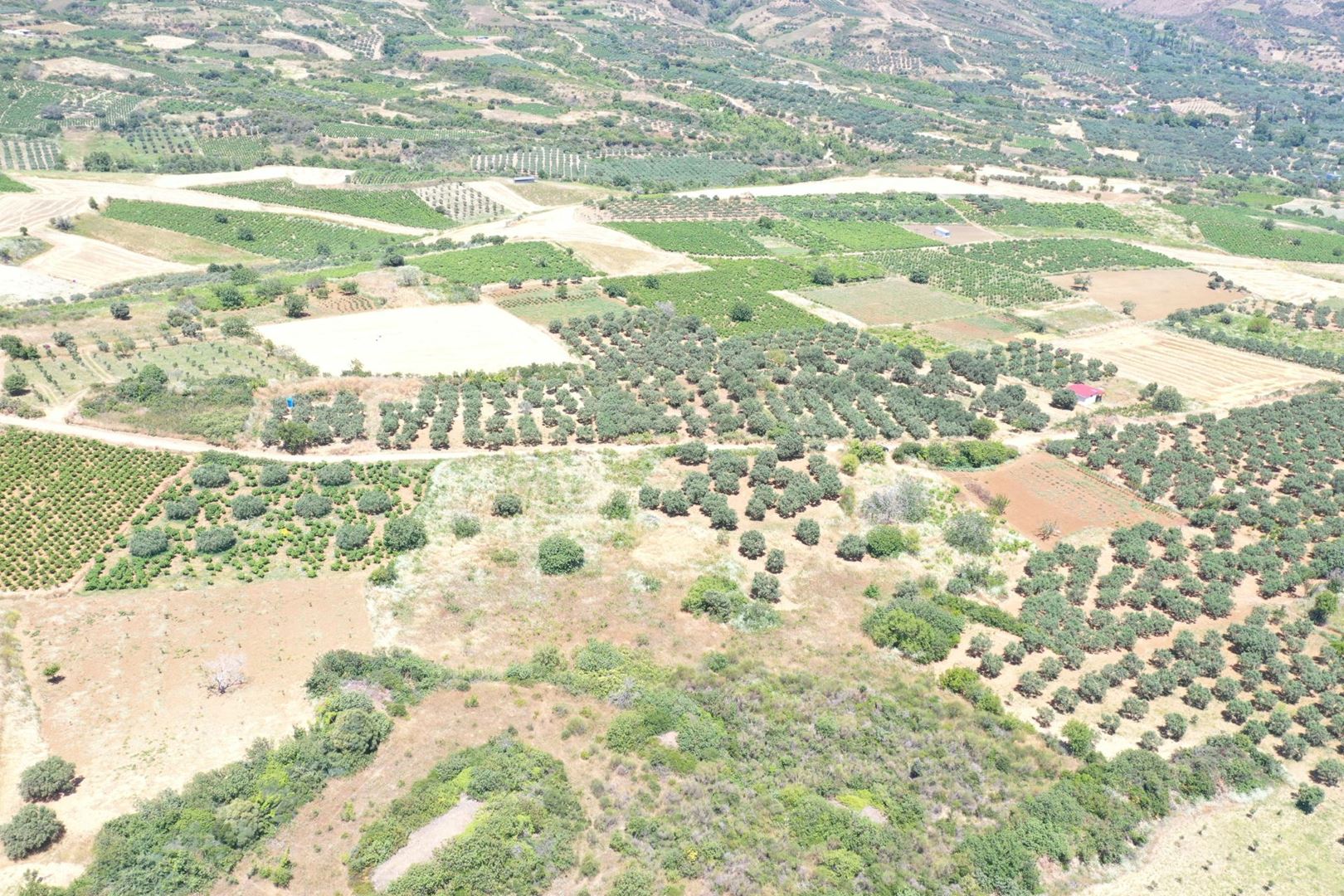 Property-photo