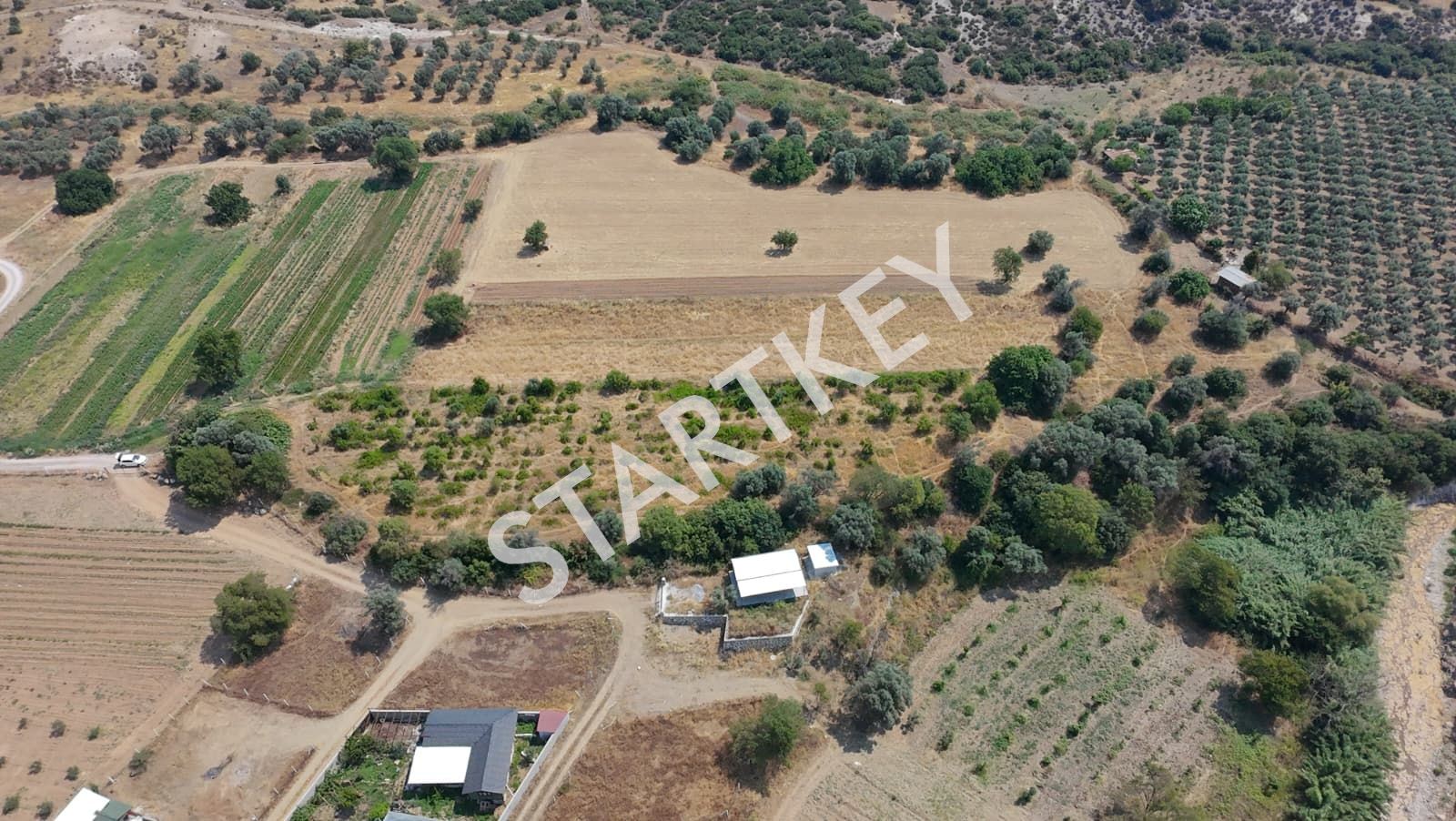 Property-photo