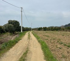 MUĞLA KÖYCEĞİZ BEYOBASI MH 1091M2 TARLA