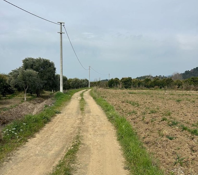 MUĞLA KÖYCEĞİZ BEYOBASI MH 1091M2 TARLA