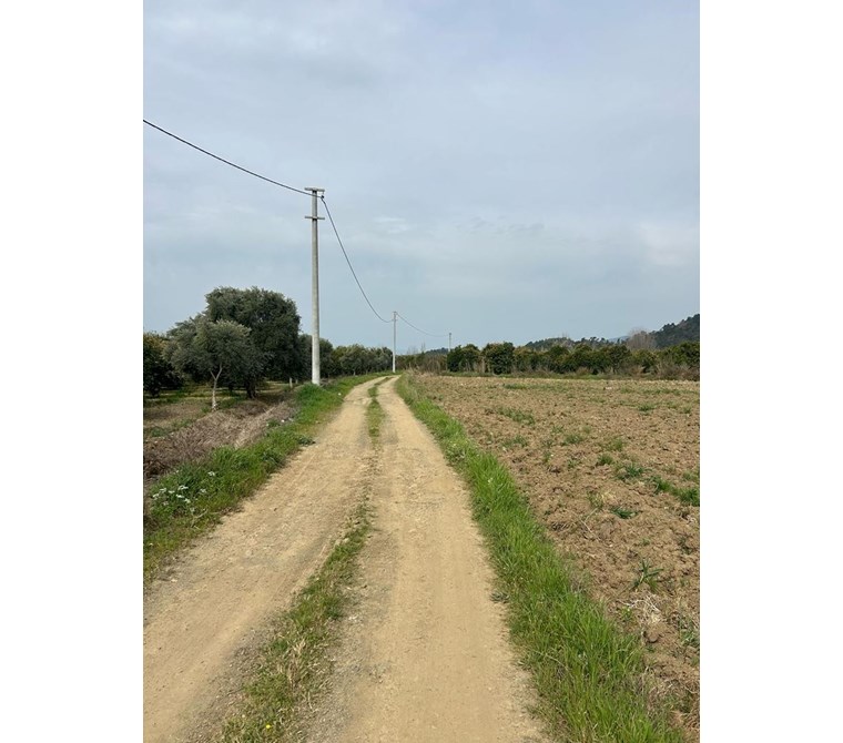 MUĞLA KÖYCEĞİZ BEYOBASI MH 1091M2 TARLA