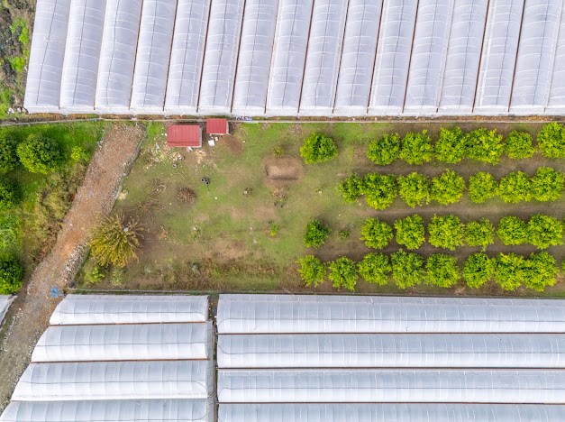 MUĞLA ORTACA İZTUZU DENİZİ YOLUNDA 2 DÖNÜM ARSA