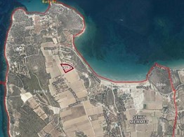 ÇEŞME PIRLANTA PLAJINA YAKIN SATILIK TARLA