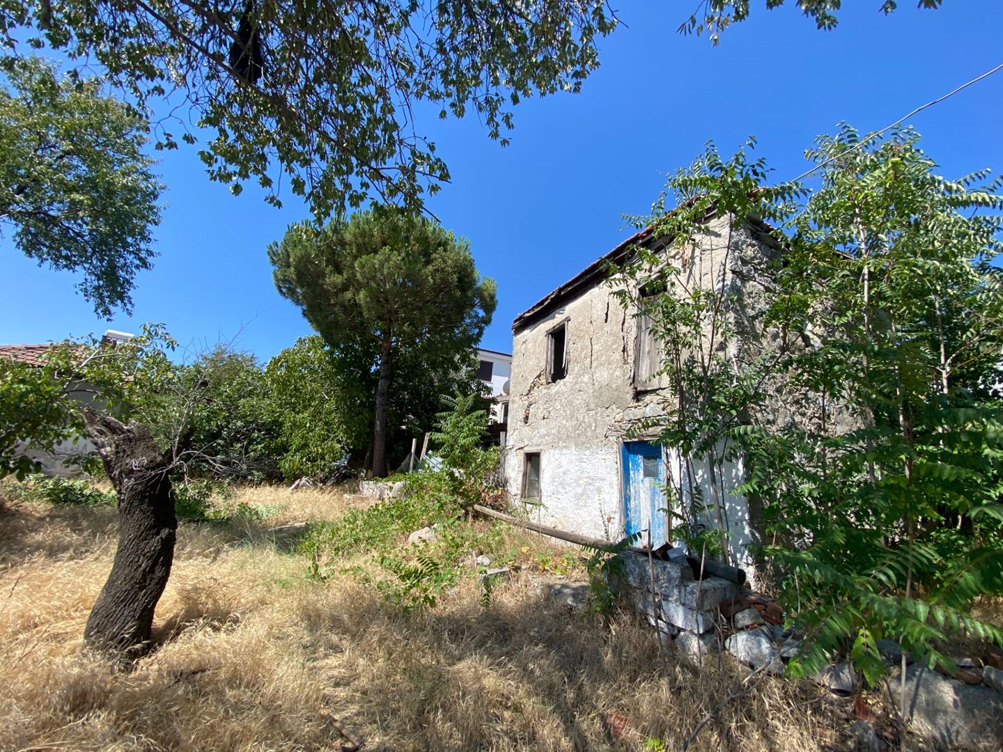 Property-photo