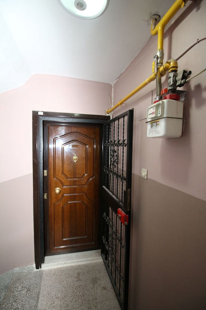 20646748
