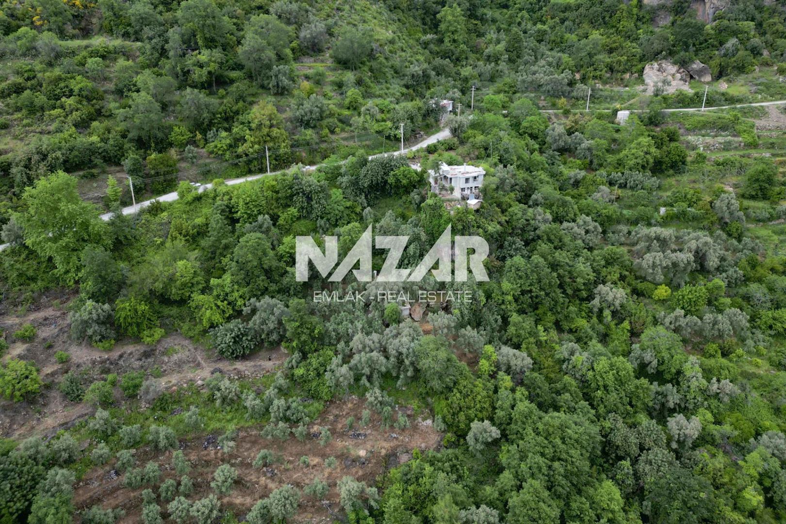 Property-photo