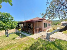 MİLAS ÖREN YOLU ÜZERİNDE DERE YANI 14548 M2 SATILIK ÇİFTLİK