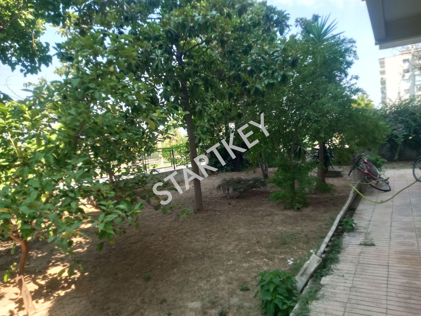 Property-photo