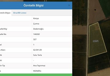 Konya Çumra Dedemoğlu 62.041 m² Satılık Müstakil Tarım Arazisi