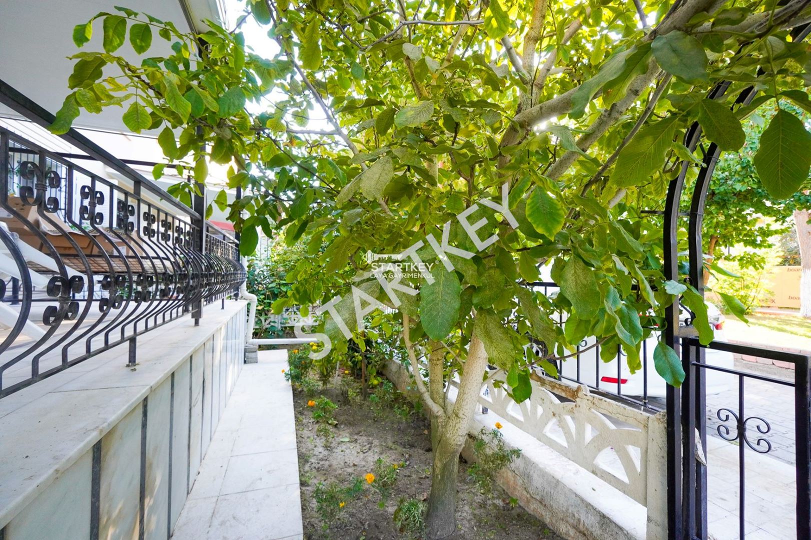 Property-photo