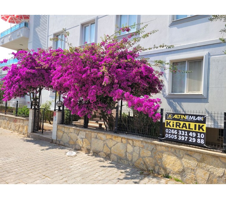 Ayvalık Sarımsaklıda Kiralık Eşyalı 4+1 Ters Dubleks Daire