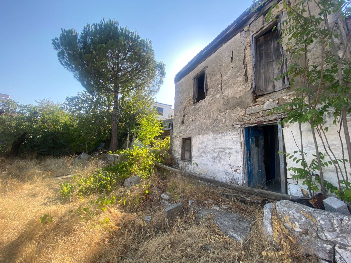 Property-photo