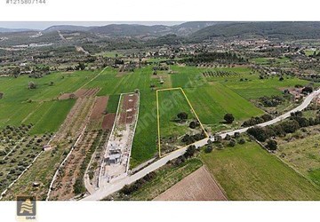 Milas Çamköy'de Yola Sıfır Satılık Tarla!