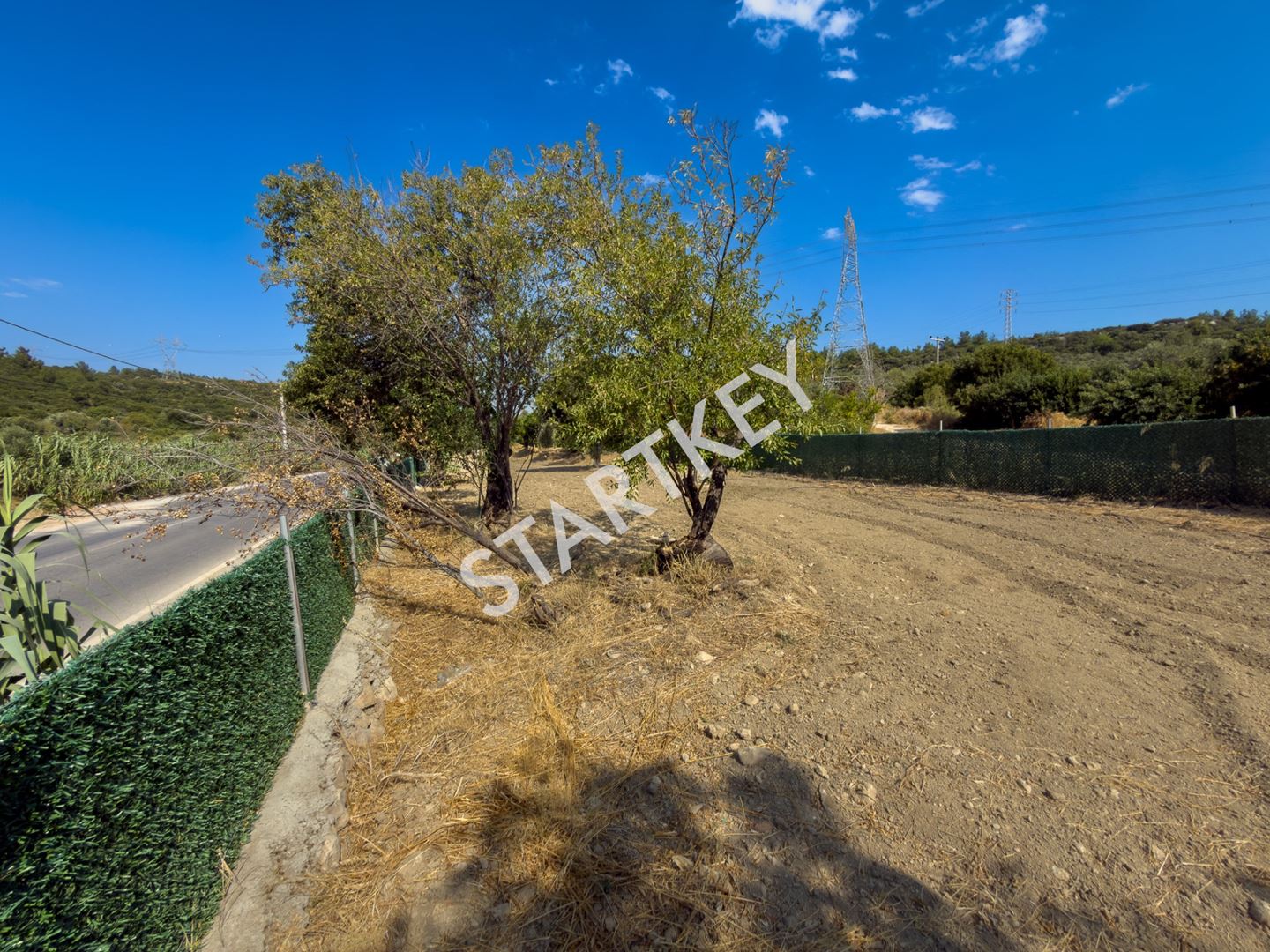 Property-photo
