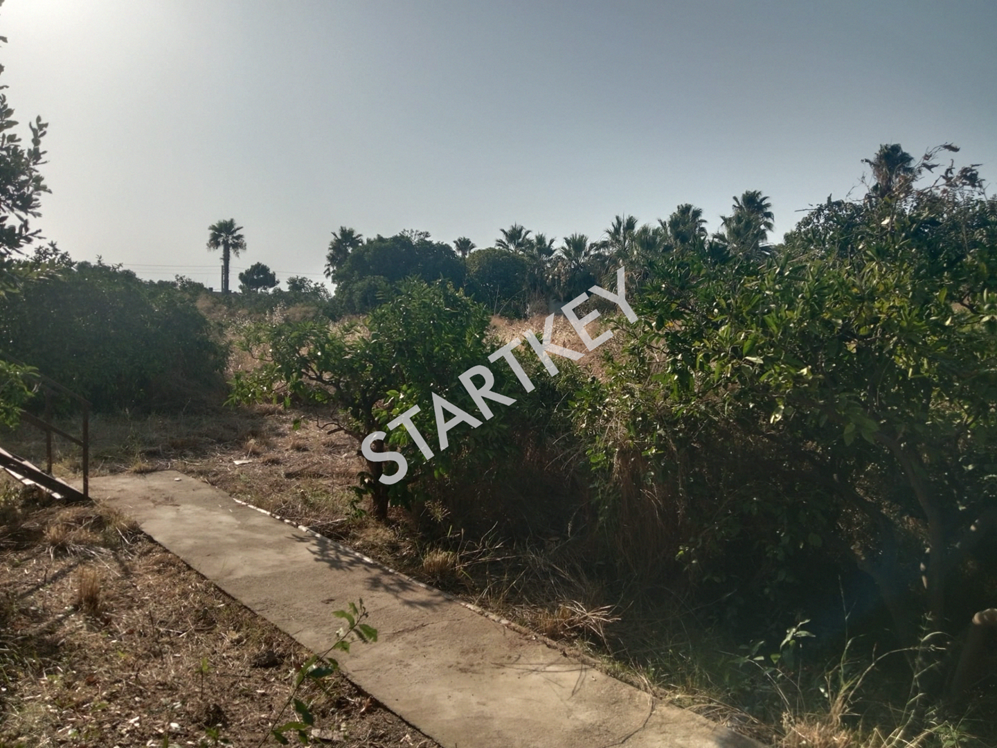 Property-photo