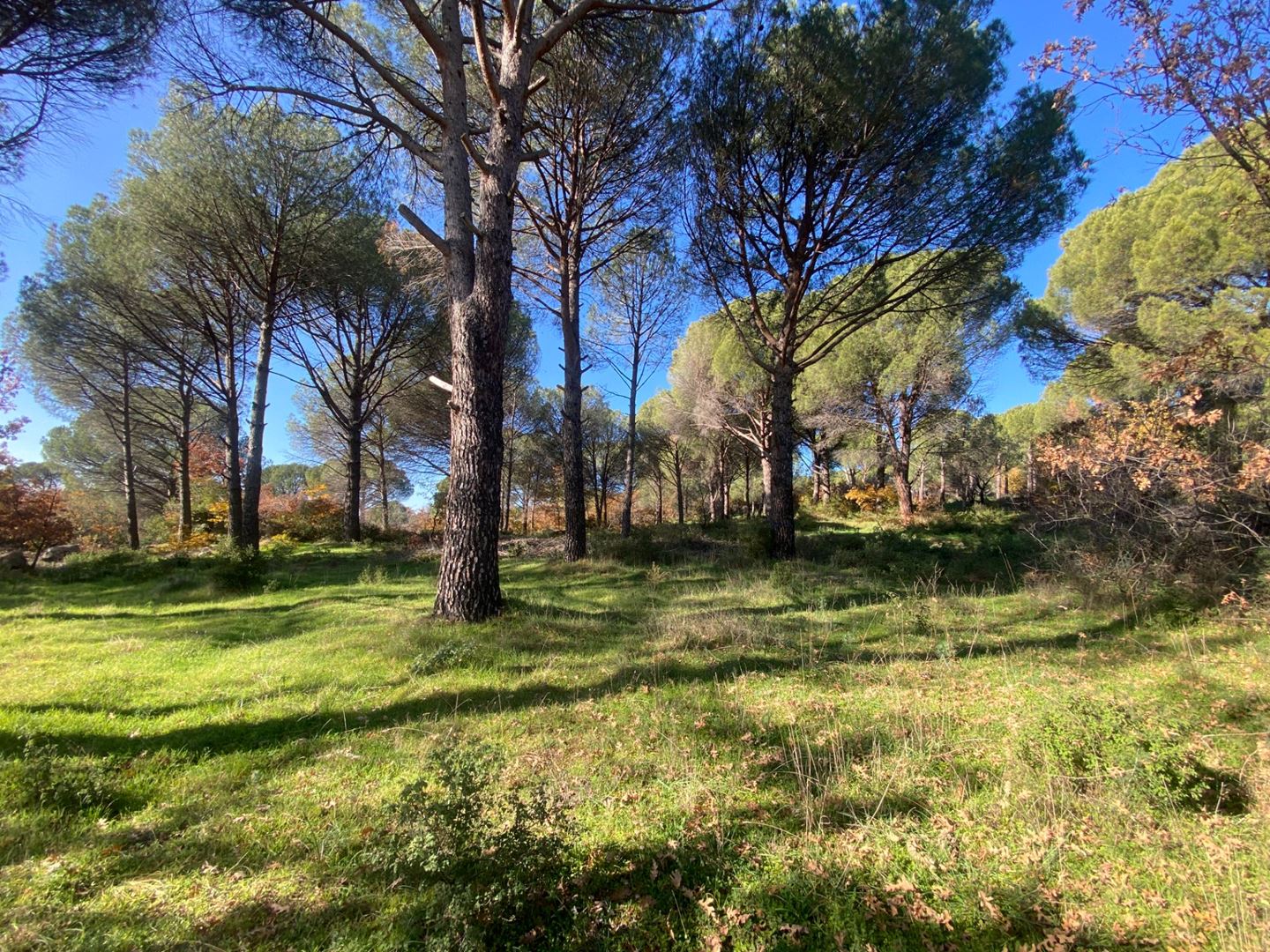 Property-photo