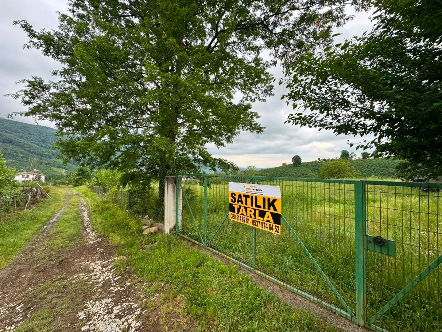 Property-photo