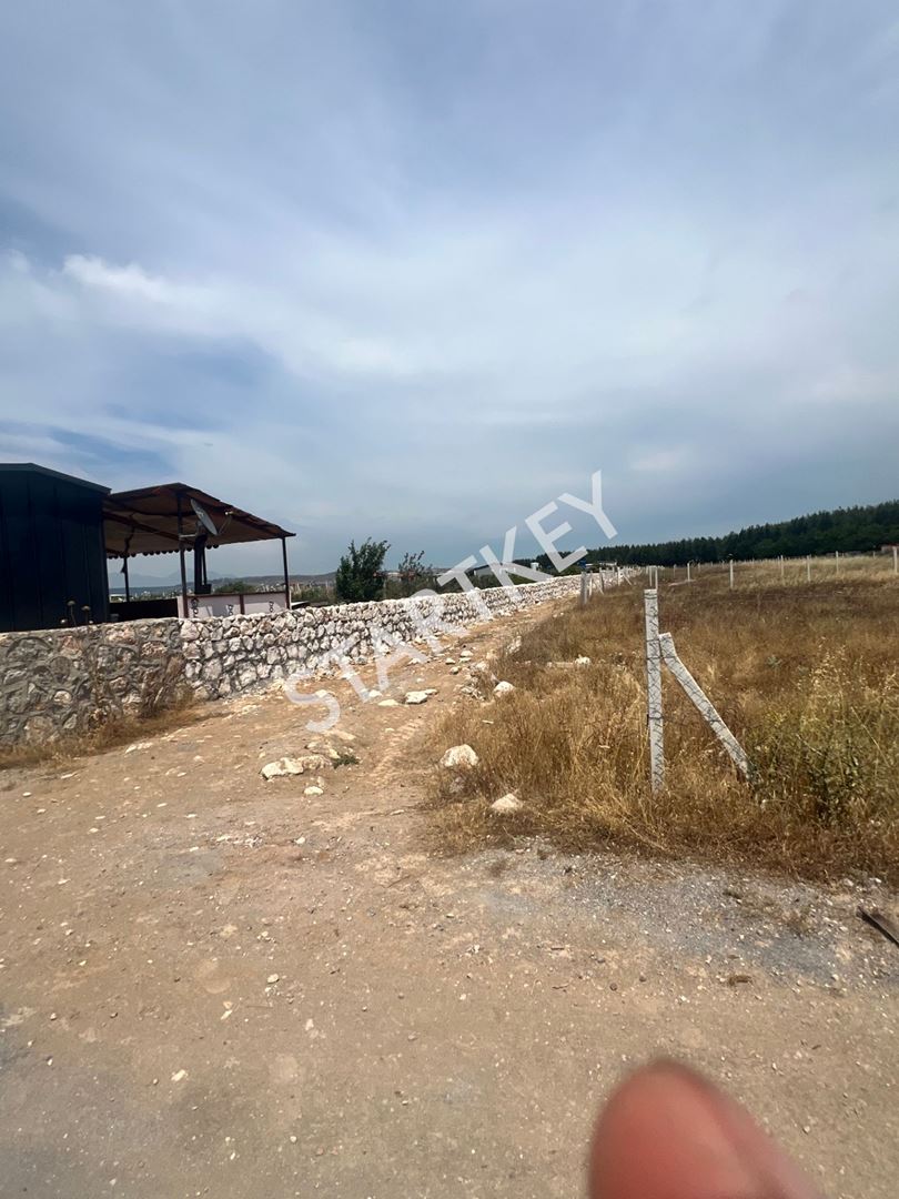 Property-photo