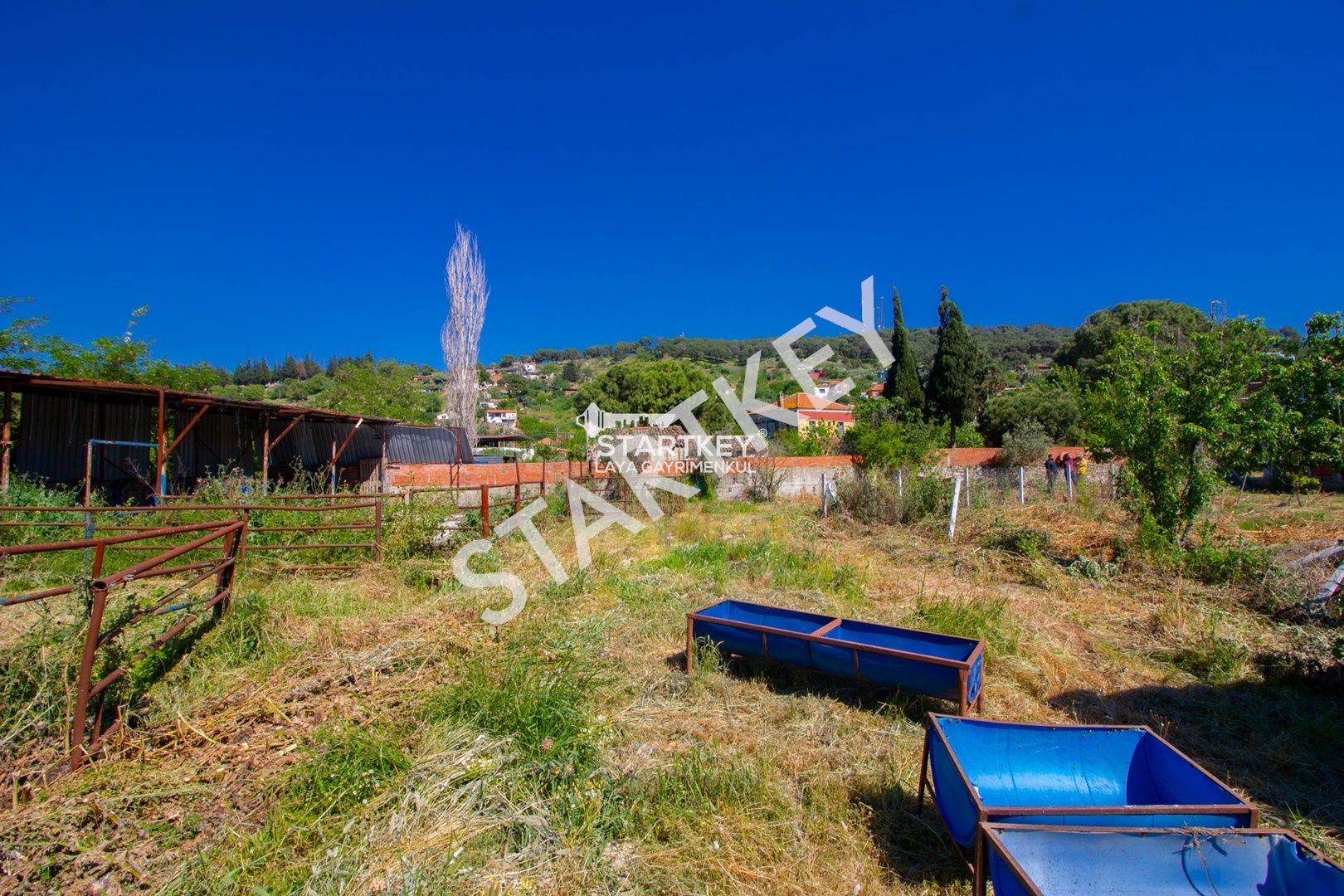 Property-photo
