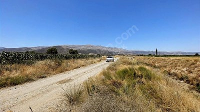 İNCİRYA EMLAK'DAN ACIPAYAM YASSIHÜYÜK'DE 903m2 KREDİ KARTA TAKSİT HOBİ BAHÇESİ