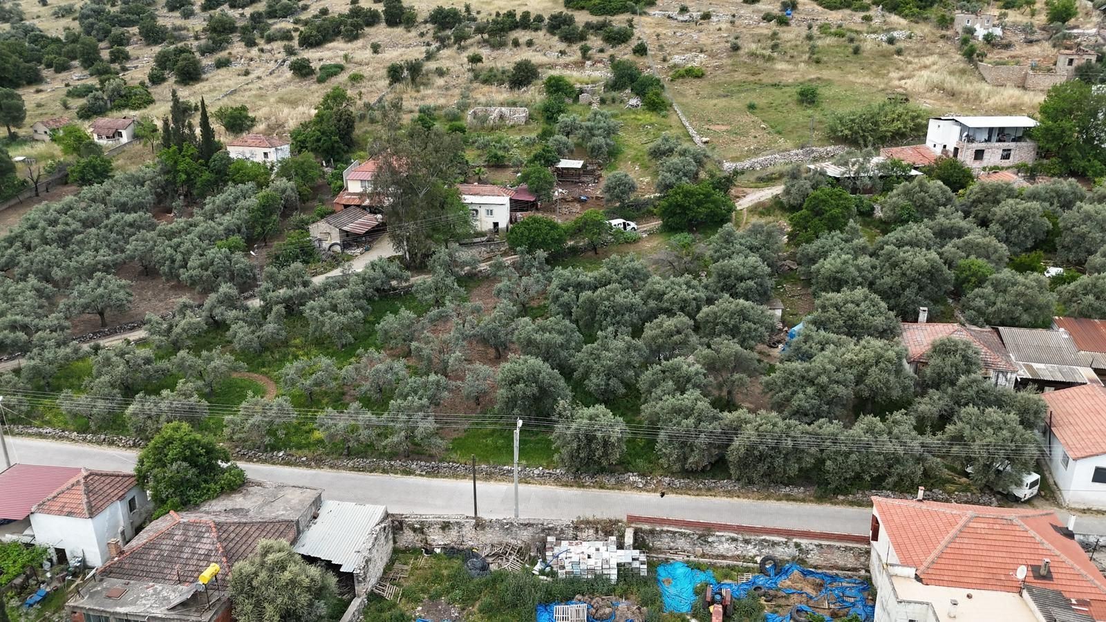 Property-photo