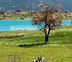 Seydikemer Yayla Ceylan’da Satılık 1.156 m² Hisseli Arsa – Göle Üçüncü Parsel