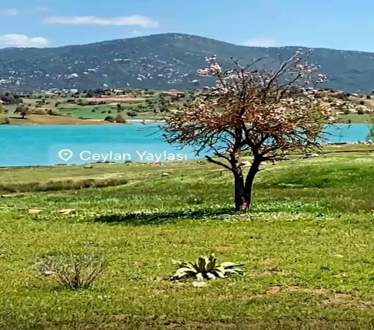 Seydikemer Yayla Ceylan’da Satılık 1.156 m² Hisseli Arsa – Göle Üçüncü Parsel
