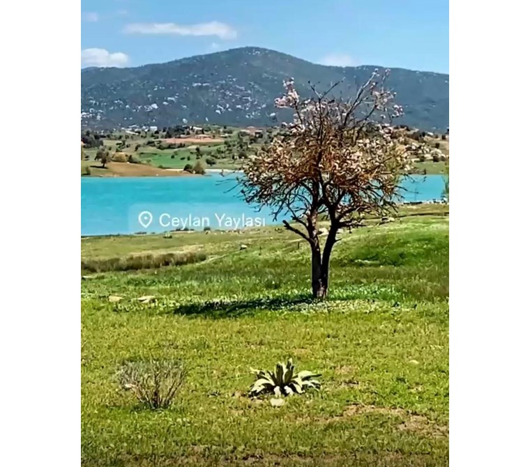 Seydikemer Yayla Ceylan’da Satılık 1.156 m² Hisseli Arsa – Göle Üçüncü Parsel
