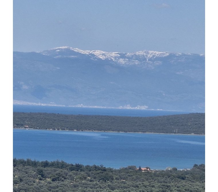 CUNDA ADASINDA SATILIK DENİZ MANZARALI 3770 M2 ZEYTİNLİK