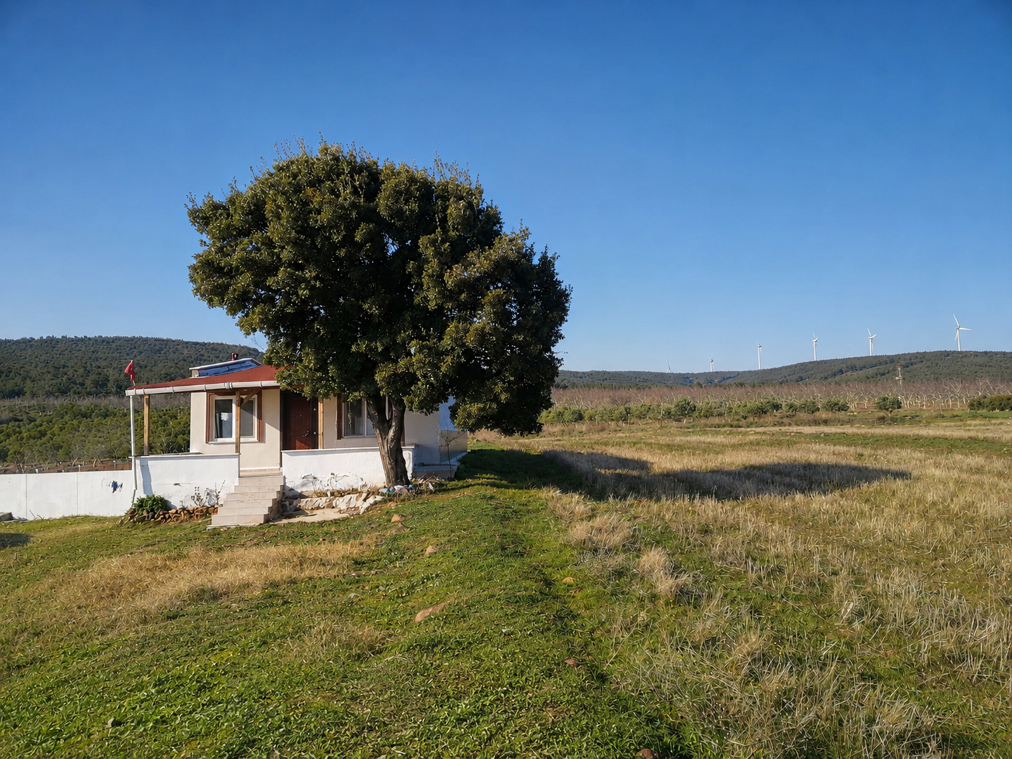 Property-photo