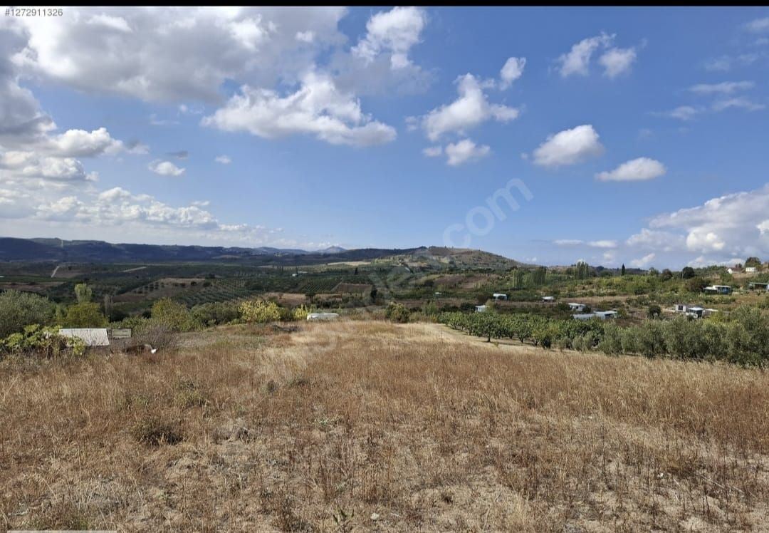 Property-photo