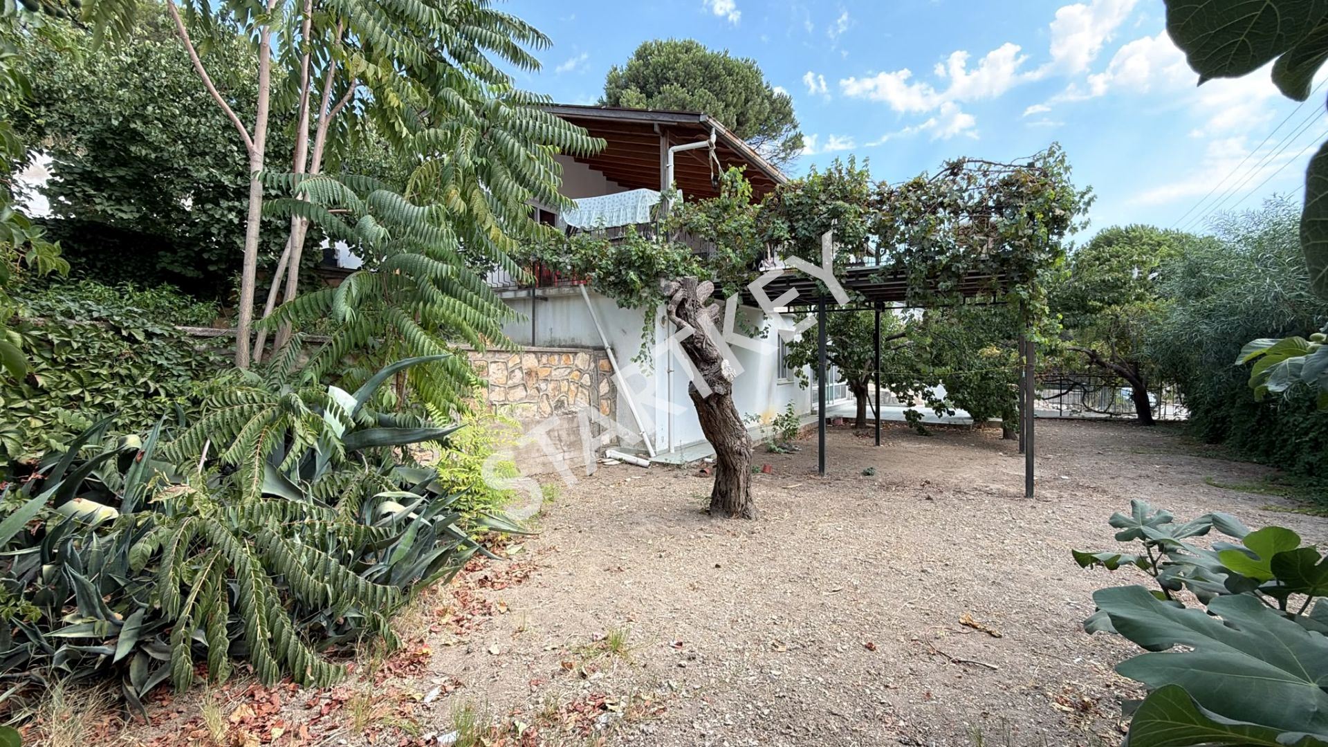 Property-photo