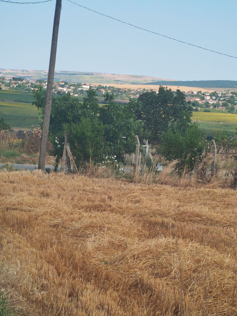 Property-photo