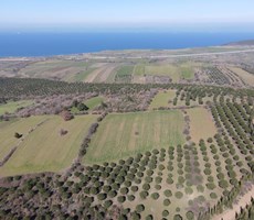 Çanakkale Lapseki Alpagut Köyünde Satılık Tarla