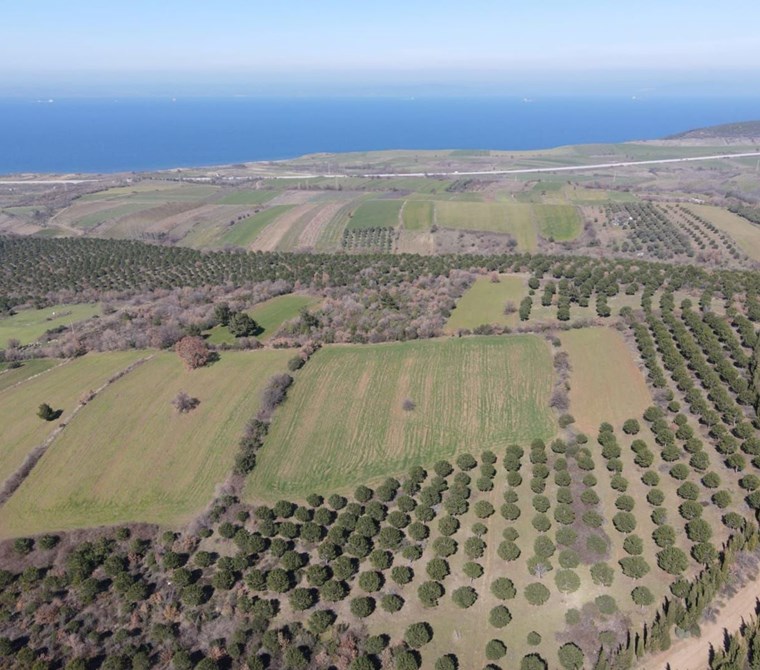 Çanakkale Lapseki Alpagut Köyünde Satılık Tarla