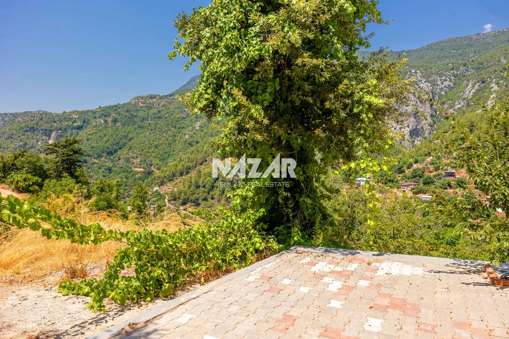 Property-photo